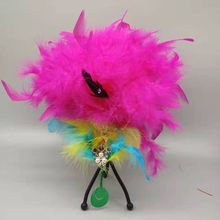 �������^�������D�赸��ë�^���������������ە��l������L����