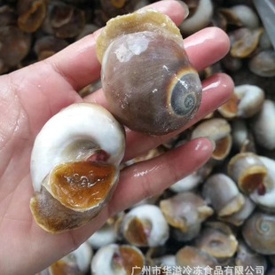 ������� ���� 16��/�� ������r�����������������ݺ�����ɳ����