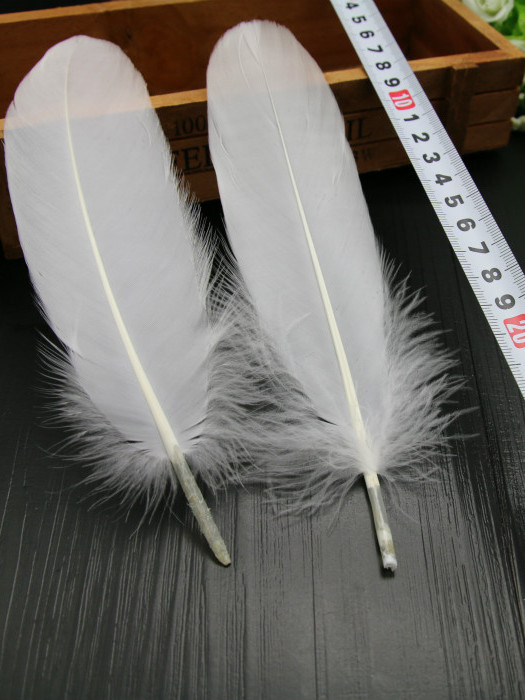 Plumas Decorativas Artesanales para Bodas y Manualidades DIY