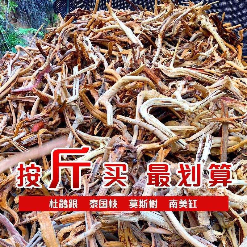 Dead Wood Branches, Driftwood, Rhododendron Roots, Fish Tank, Rainforest Tank, Tree Roots, Micro-Landscape Material Manufacturer