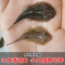 �~���坍�~�����~�F�������q��ˮ��������������~�����~�����