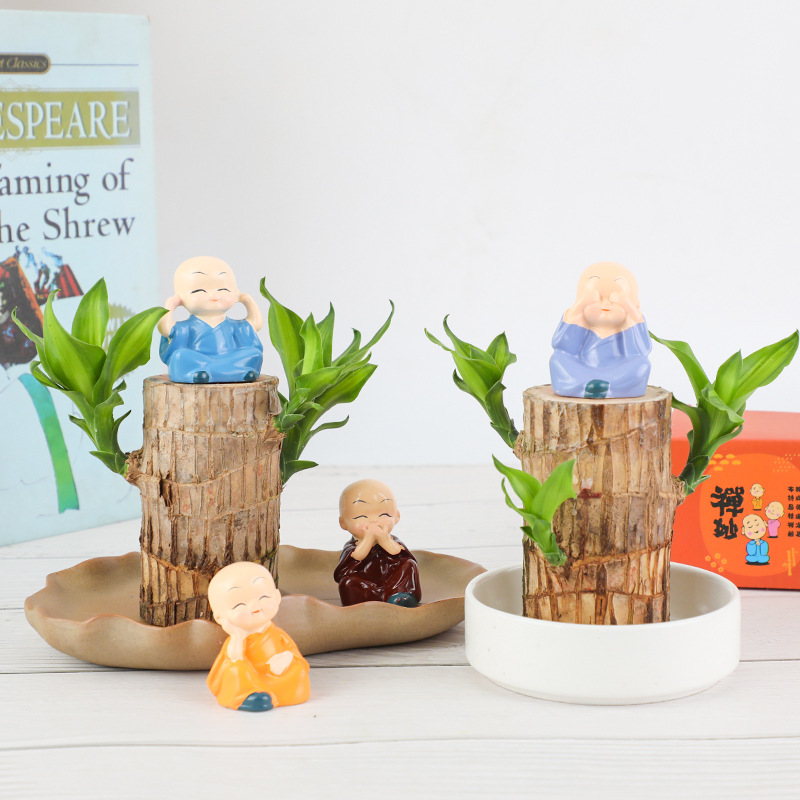 Madera brasileña hidropónica Lucky Wood Office Desktop Plantas verdes Groot Four Seasons Thoón Suministro de fábrica de plantas hidropónicas