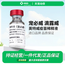 荷兰英特威 滴露威无菌稀释液稀释冻干宠必威犬猫疫苗