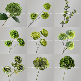 �Gɫϵ���滨ɭϵ��Y�~�� ��c��Y�ò廨 ·���������ŔzӰ����