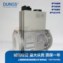 DUNGS˹DMV-D5065/11,DMV-DLE5065/11,DN65ڏȼyM