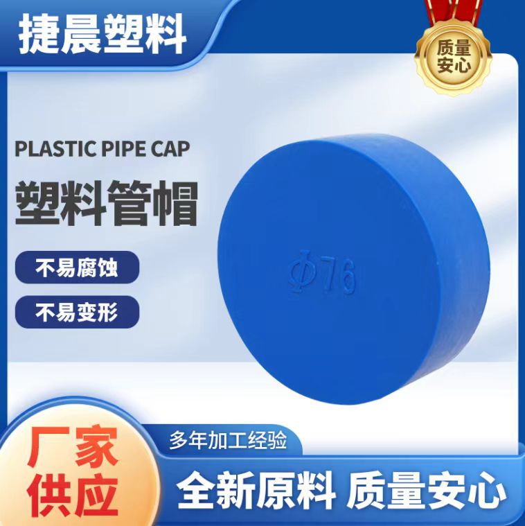 Dn200 Steel Pipe Plastic Cap 273 Blue External Thread Plastic Plug Dustproof Protective Cap 426 National Standard Pe Pipe Cap