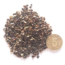 Slֲﾰ^ܷN 󻨽uշN uվջN