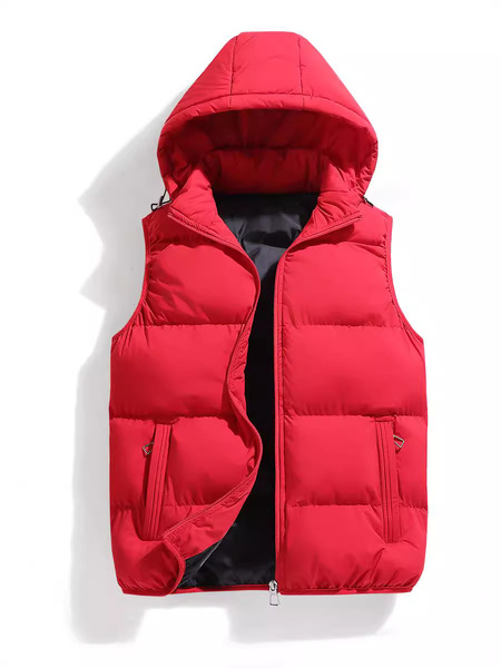 men's demi-season vest