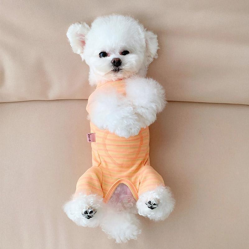 春秋季宠物狗包肚衣小型犬泰迪柴犬衣服比熊约克夏幼犬猫咪绝育服|undefined
