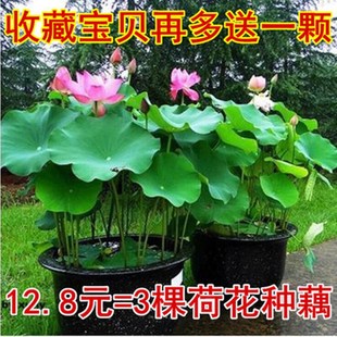 �ļ��^�p�ɻ��N��ʳ��ɏź�N�����Դ���ɏ��ˮ��ˮ�B��ͥ�����Nź