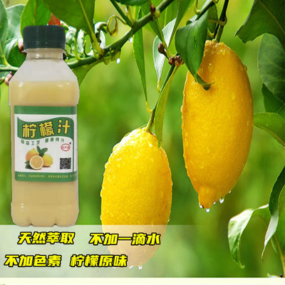 Manufactor wholesale Fresh lemon juice 500m Lemon juice Lemon juice Sweet and sour Tasty Healthy and delicious