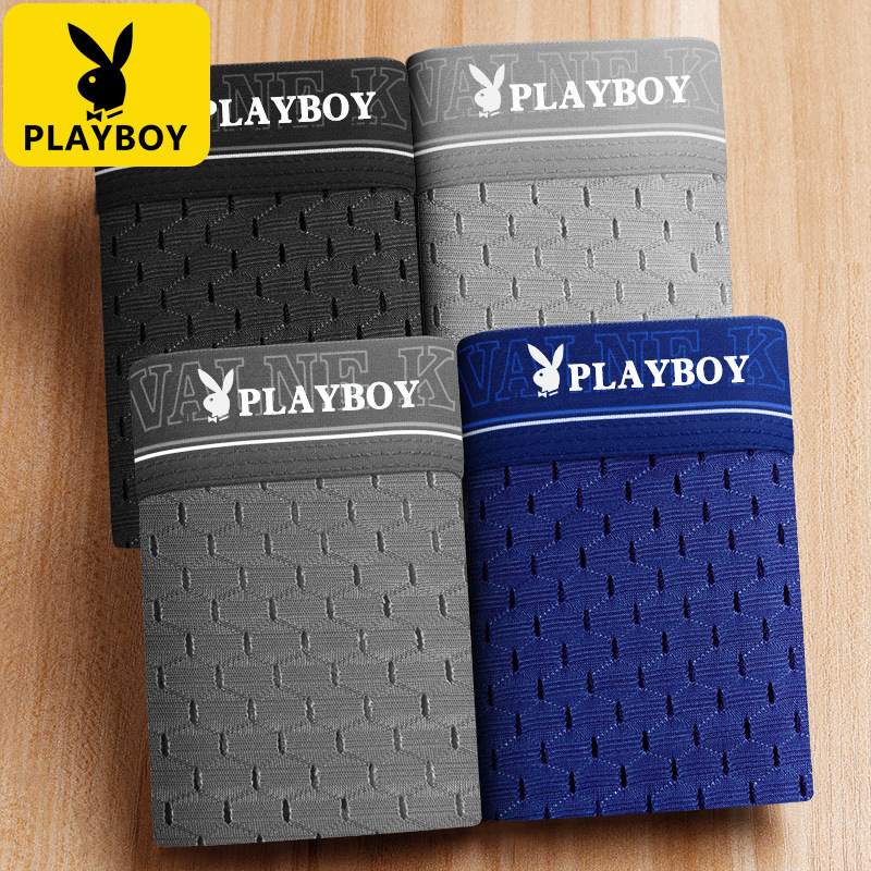 Playboy Vip Men's Underwear Sexy Transparent Boxer Briefs Ice Silk Mesh Summer Breathable Boxer Briefs Thin