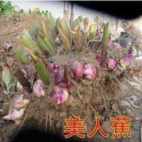 ˽NļͥԺֲ˽ܸoѿl؛