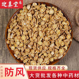 中药材批发供应北防风 防风片 关防风 防风粒 防风个承接大货订单