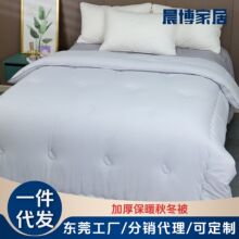 被芯冬季加厚棉被批发冬季被子线下商超抢险救灾被子冬季厚款冬被