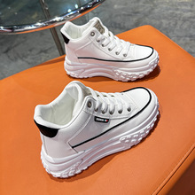 aߎЬŮ5cmϵЬŮ2024¿insٴe\ŮЬ