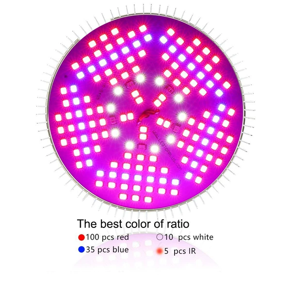 100W