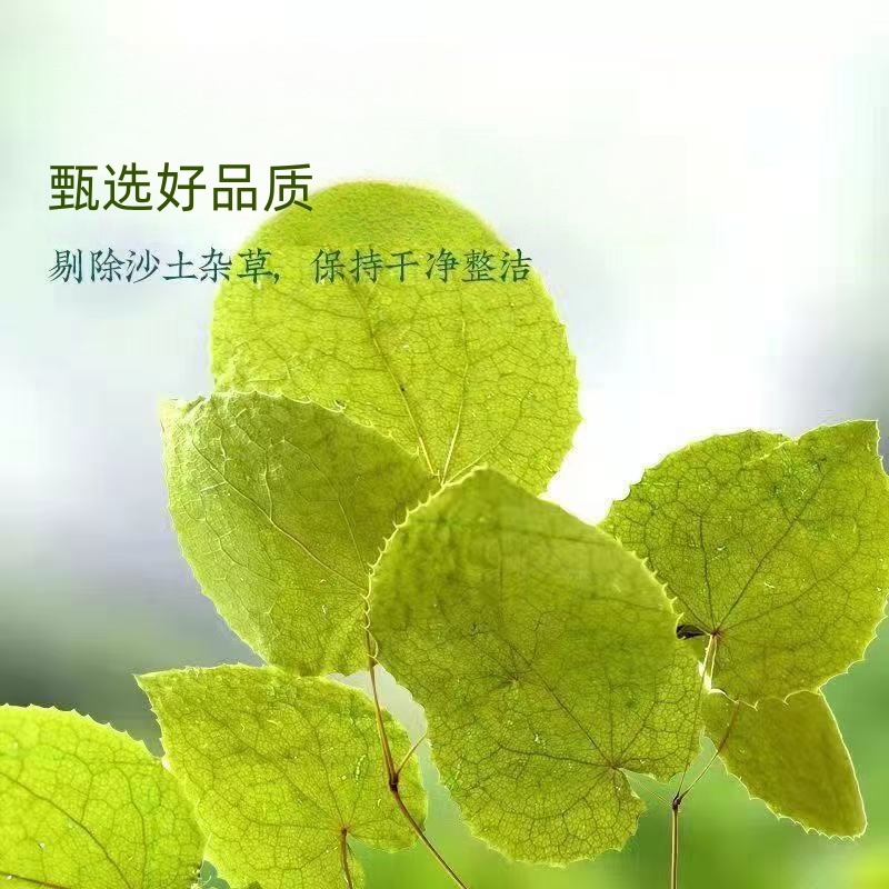 Epimedium Leaf Yin Yang Huo Dried Herb for Tea and Decoction 100g Bag preparation