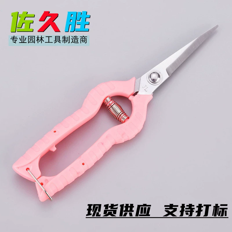 Источник фабрик редкие цветы ножницы виноград личи фруктовые ножи режут ножницы садового сада инструменты редкие фрукты цветочные ножницы