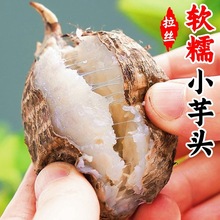 山东牛奶小芋头斤新鲜现挖红芽毛芋头奶油芋艿鲜蔬菜小香芋当季