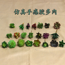 ����ֲ�� ��Ʒ�پGֲ���҃��k�����bM��ֲ�q��������