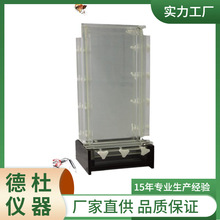 供应DYCZ-20B DNA序列分析电泳仪 电泳槽