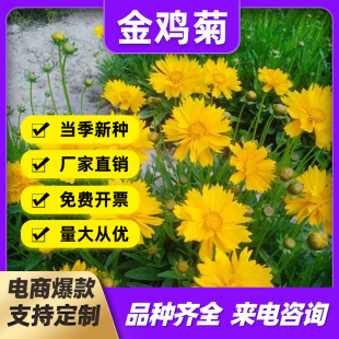 �S�����l���u�շN�Ӷ������޸����Ѿ��^�������@��·�����l��ݻ�