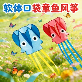 风筝;其他运动休闲