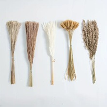 �JȔ��Ȕ����˹�ݸɻ����l�b���˹�ݻ��������Ĕz��β�ݻ��羳