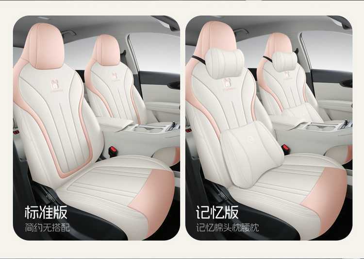 2025 Geely Star Wish to Explore Free Car Cushion Four Seasons Cute and Comfortable All-inclusive Car Seat Cover