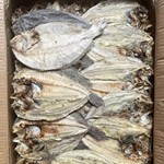 地鱼大地鱼鱼干海鲜干货鱼咸鱼水产海产品广东产小鱼省马面