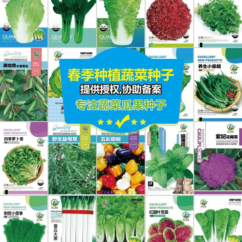 Wholesale Vegetable Seeds Green South West White Rice Beans Pepper Gourd Yellow Jade Rapeseed Seedlings Melon and Fruit Four Seasons