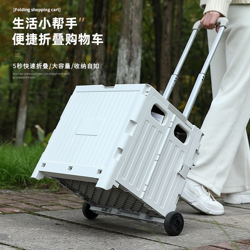 Mini Portable Two-Wheel Supermarket Shopping Cart for Groceries, Home Use, Camping, Chen Zhihui