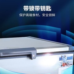 Freezer with ultra-low temperature capacity, -60°C ultra-low temperature refrigerator/freezer, commercial fish and seafood freezer, -40°C laboratory freezer