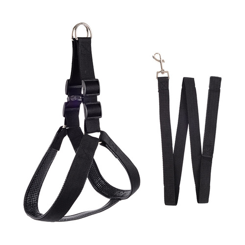 Pet Harness Back Strap Leash Foam Dog Harness Plain Casual Walking Leash Dog Chain Wholesale