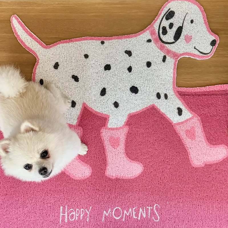 흰색 실크 서클