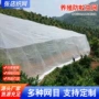 防蚊塑料大棚蔬菜网罩