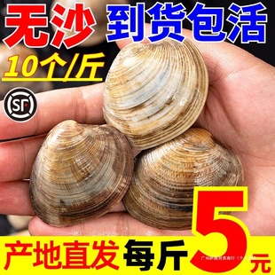 ���r�oɳ�������r��͘���ĸ�ؐoɳ��ؐ����S�����