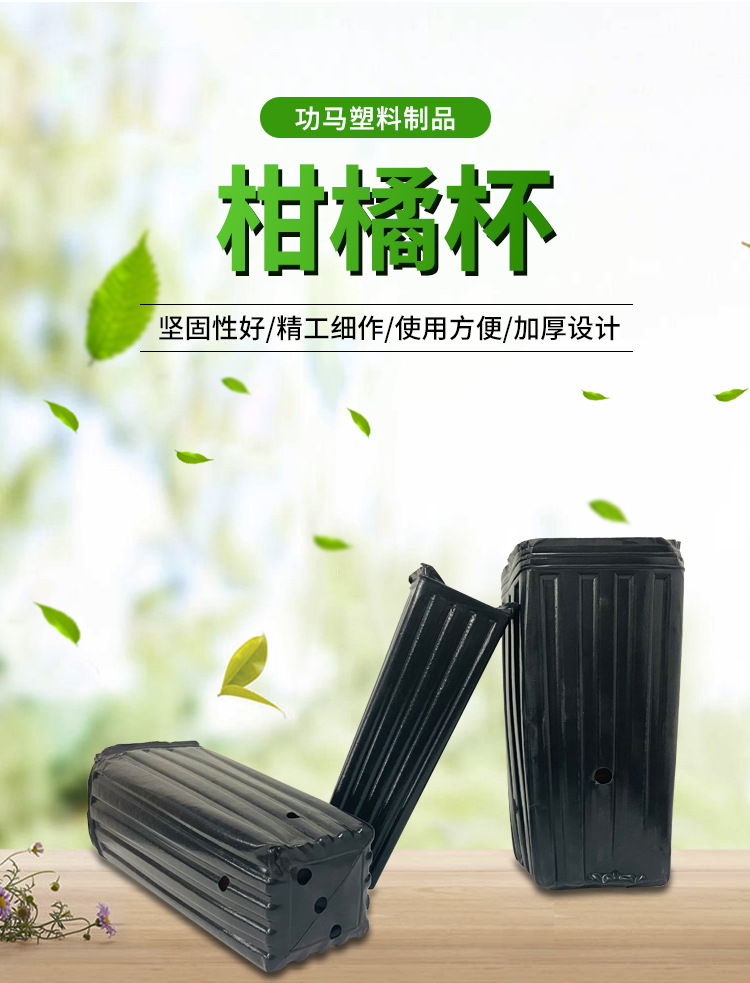 柑橘杯,营养钵,育苗袋