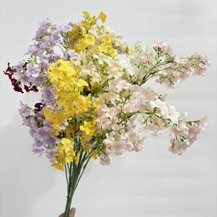 �羳���l�������������֦���滨С�黨��c�Y�ò����zӰ���߻���