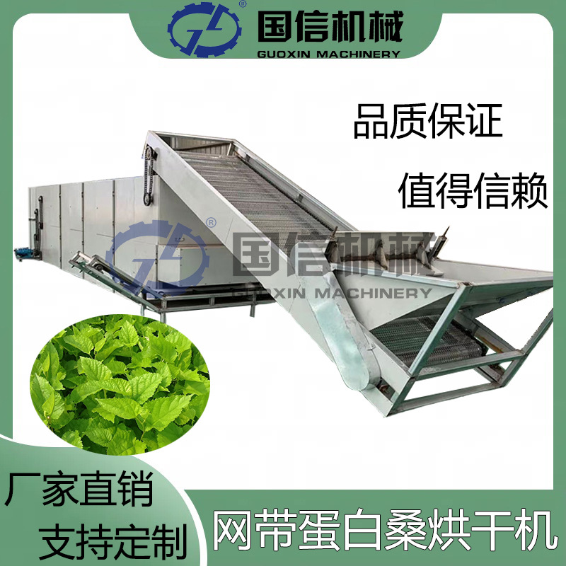 连续式桑叶干燥机 饲料桑大型蛋白桑叶烘干设备 网带蛋白桑烘干机