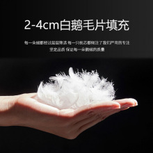 羽绒枕枕头全鹅绒羽毛鹅毛片单人成人家用护颈椎助睡眠酒店枕芯