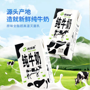 �½���ţ������206��*20�г��˃�ͯ�W���I�B���ţ�̞���