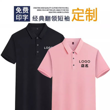 zIļpoloӡlogo̽IVٸɹb