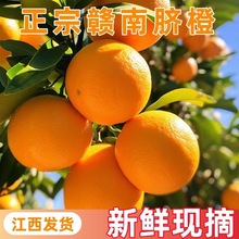正宗江西赣州赣南脐橙新鲜薄皮橙子整箱水果批发汁水多精品大大果