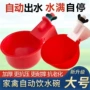 自动家禽饮水杯饮水碗