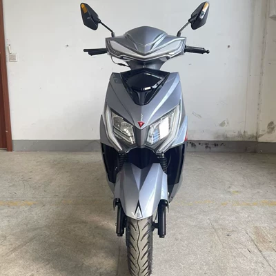 Motorcycle Scooter Wolf Warrior Motosikletlər