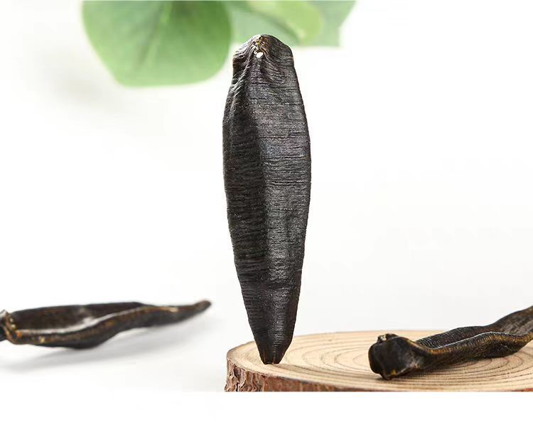 Dried Leech (Hirudo nipponica) — Wild-Caught Air-Dried Whole Leech, 500g preparation
