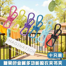 清洁球/刷;抹布、百洁布;收纳盒