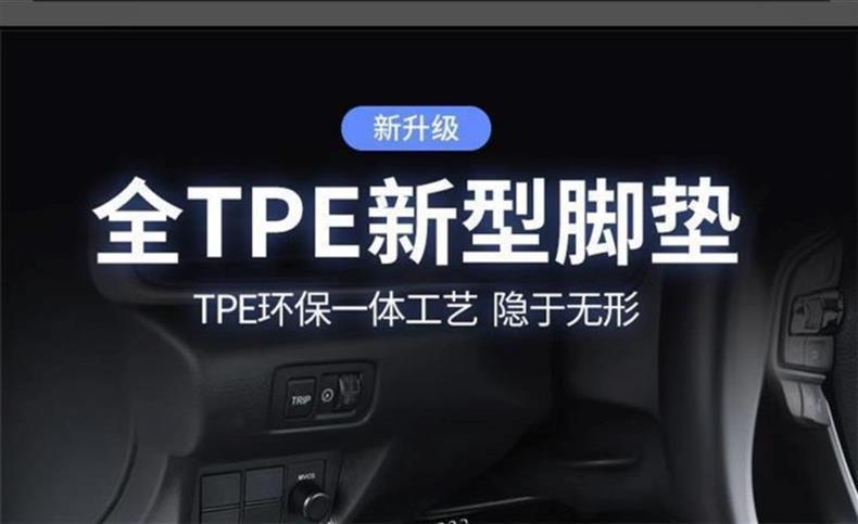 TPE special door sill mats for Zhengzhou Nissan Palaso, Navara pickup truck mats, full coverage car mats